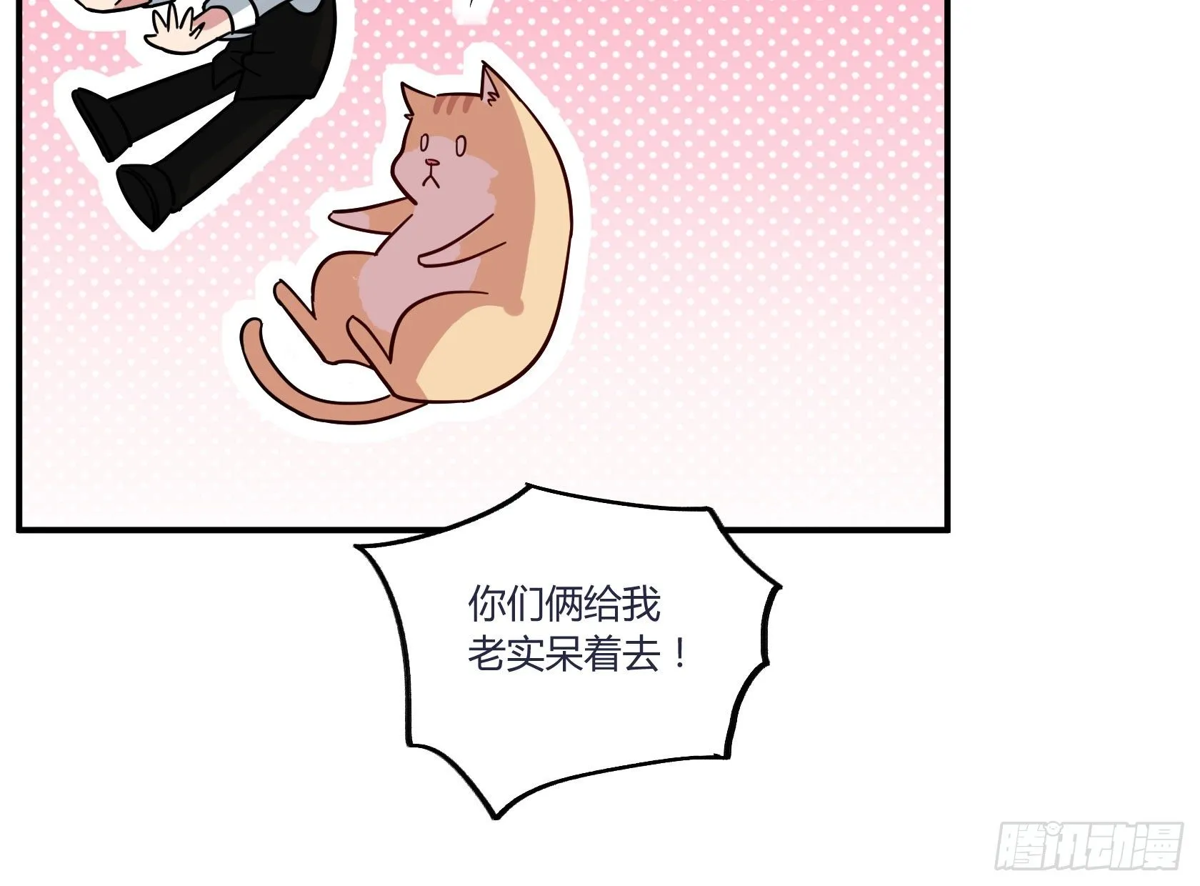 猫猫的报恩 第35页