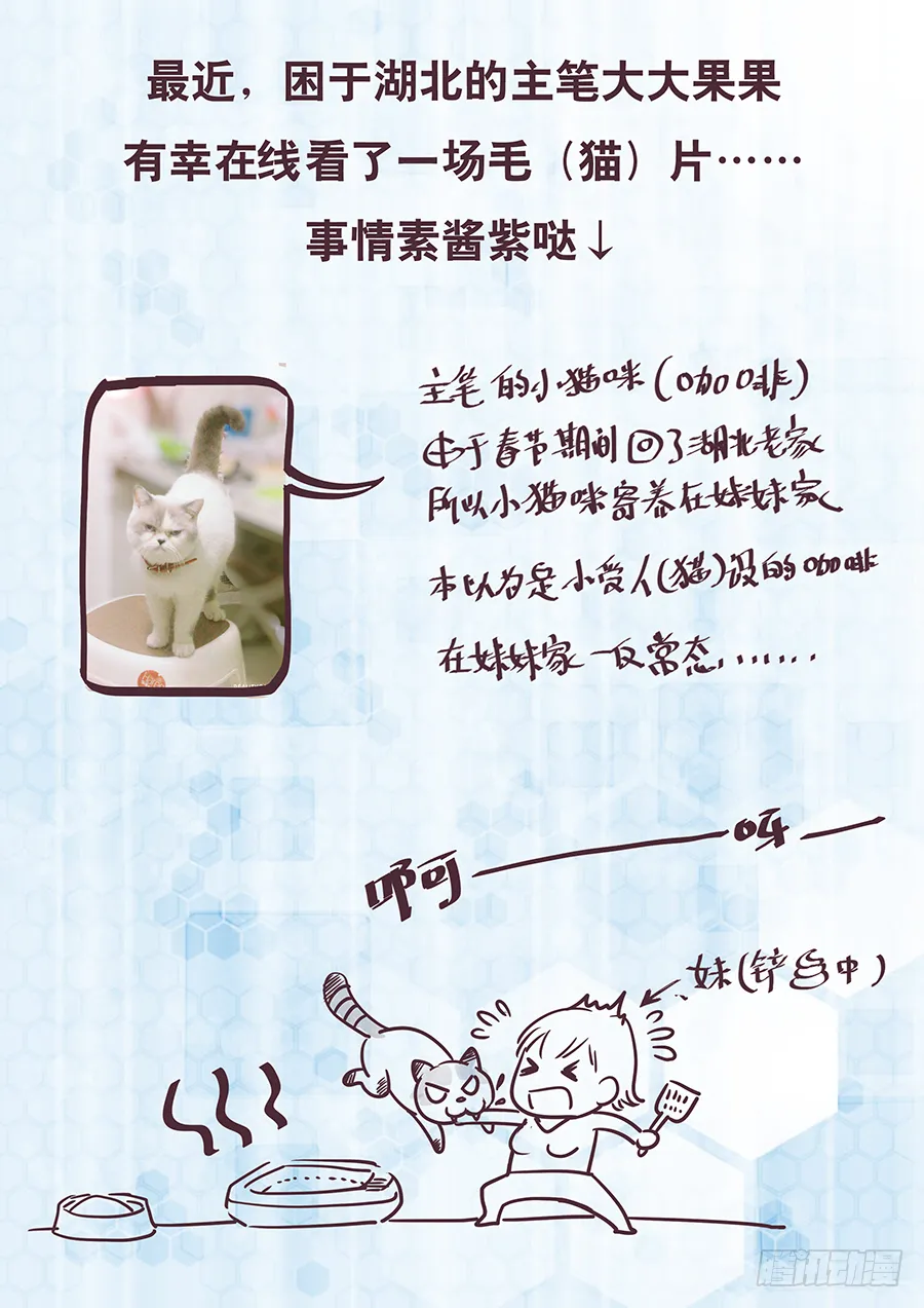 168 时机已到 第14页