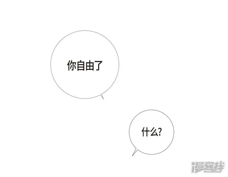 第20话 你自由了 第41页