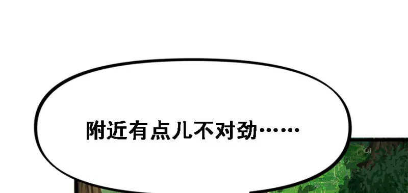重装上阵 第3页