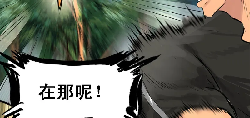 重装上阵 第15页