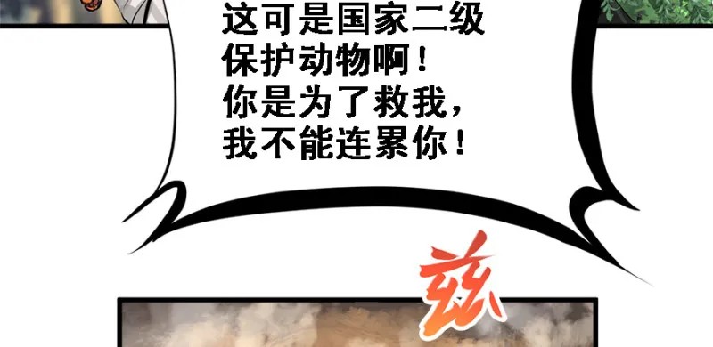 全村的希望 第82页