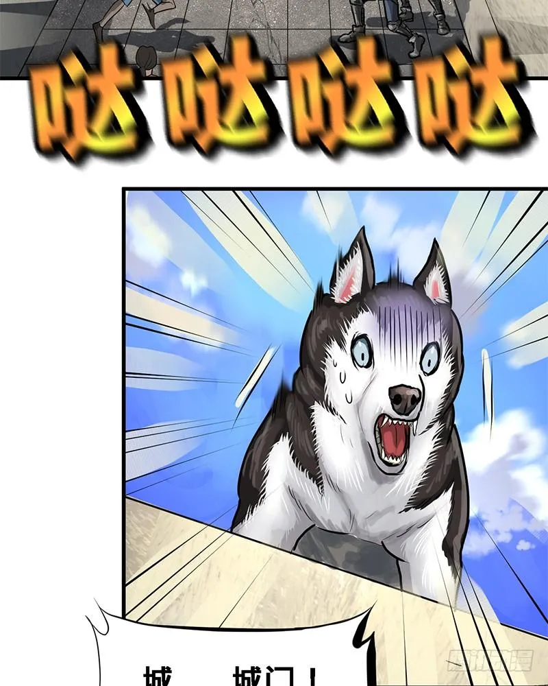 通关 第4页