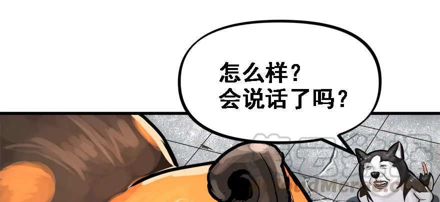 培根堡 第51页