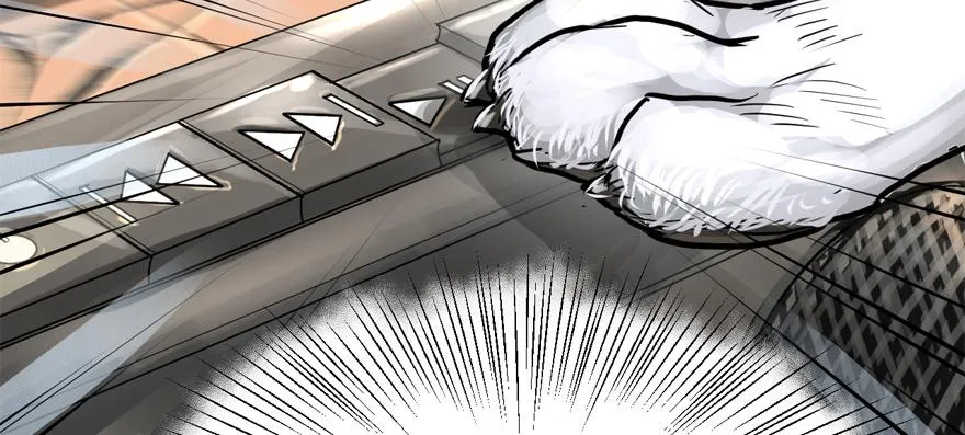 玻璃碎片 第77页