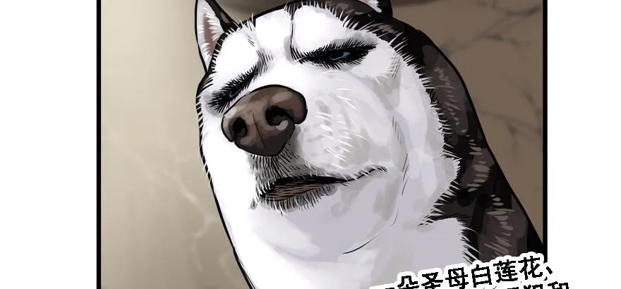 不能怂 第36页