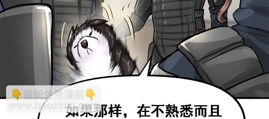 交叉火力 第12页