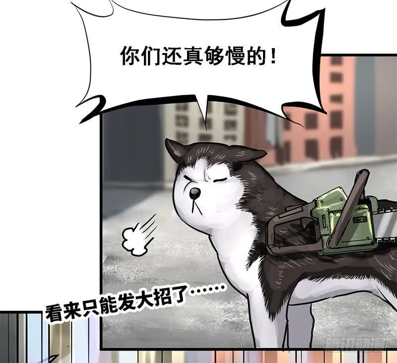 转进 第5页