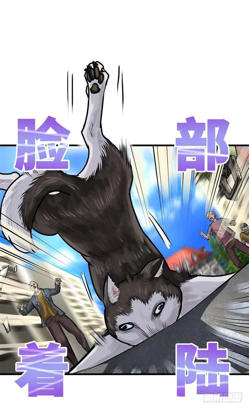 转进 第10页