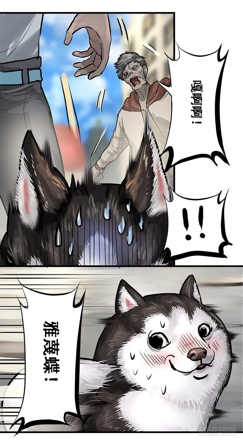 转进 第13页