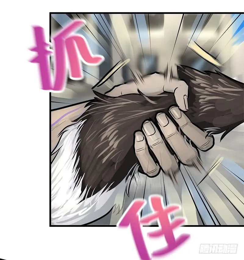转进 第15页