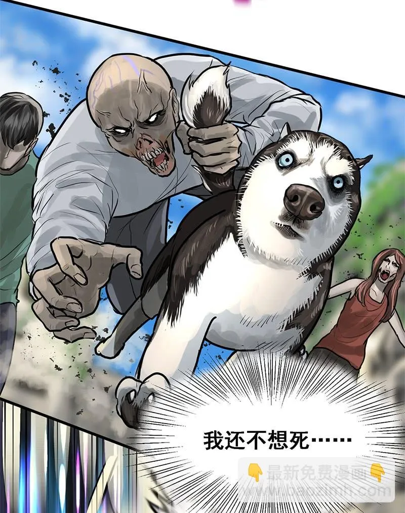 转进 第16页
