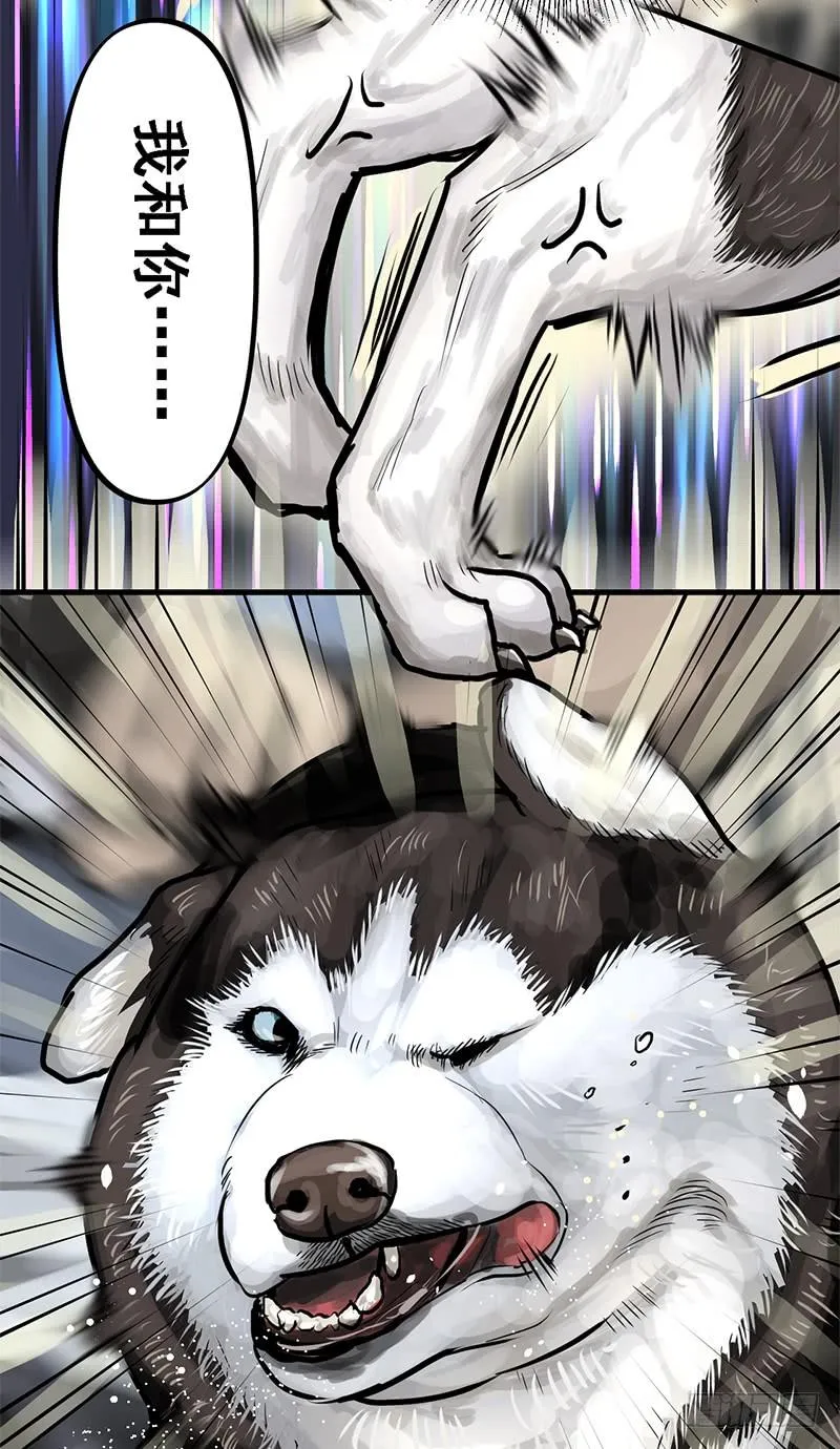 转进 第17页