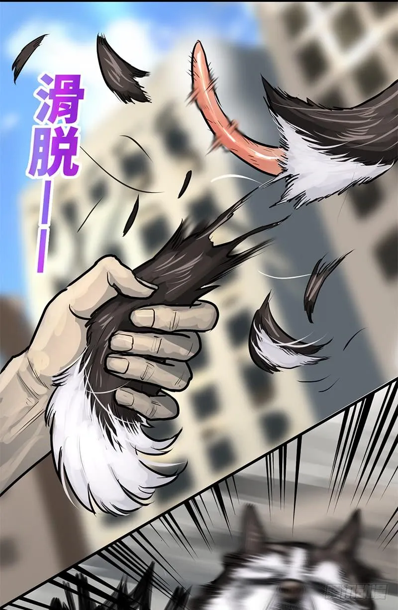 转进 第20页