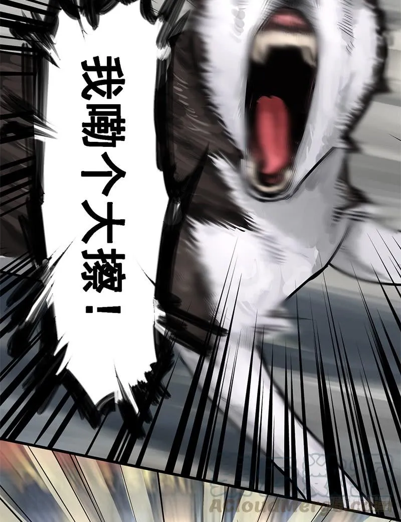 转进 第21页