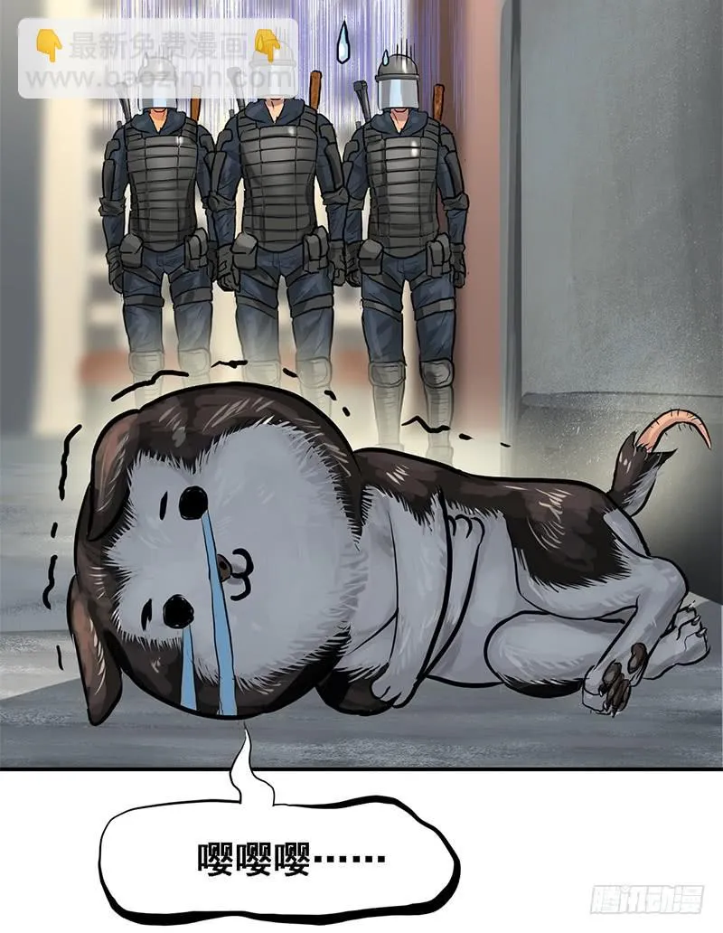 转进 第28页