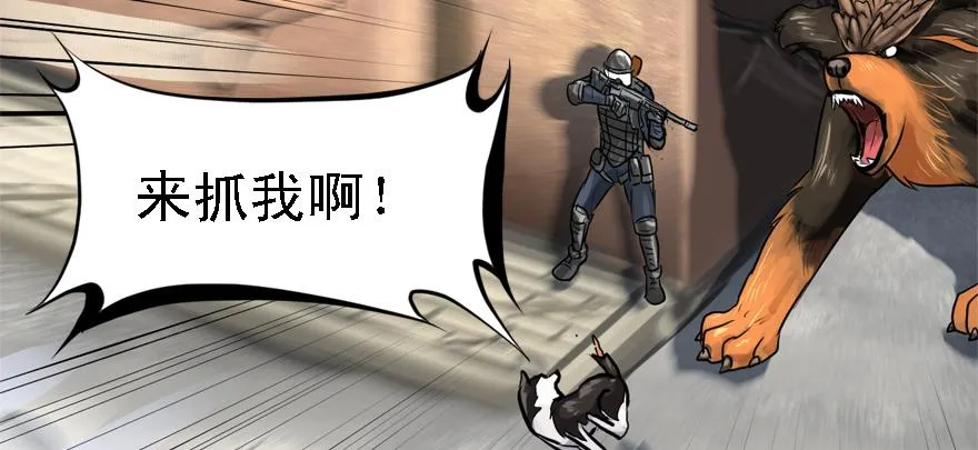 祸水东引 第74页