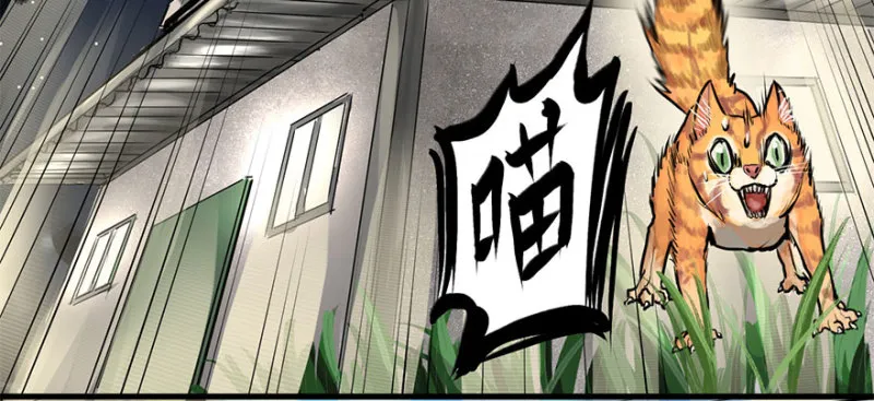 招待会 第5页
