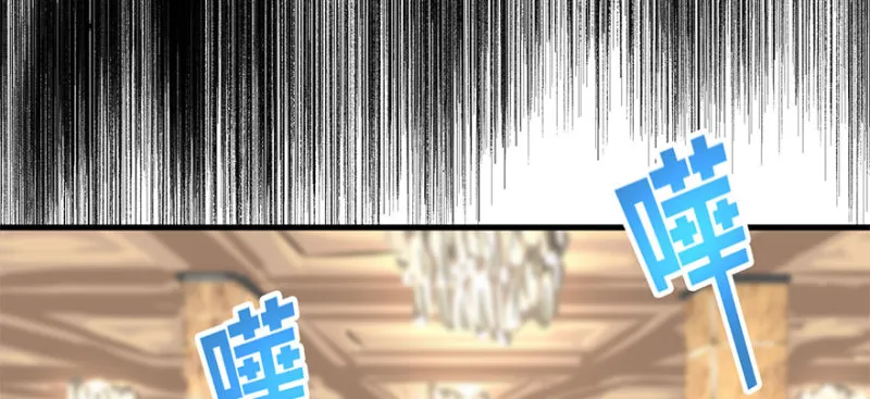 招待会 第73页