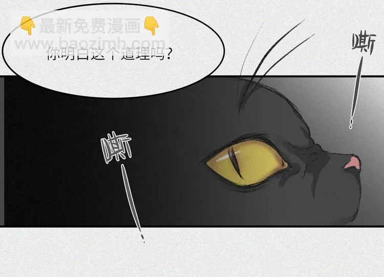 第24话-猫妖篇：命数之劫 第61页