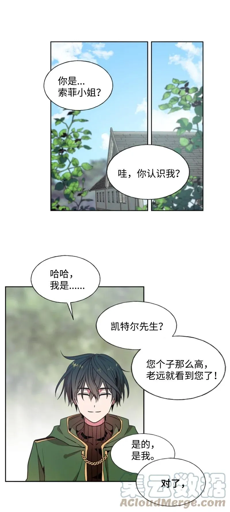 13 初识索菲 第41页