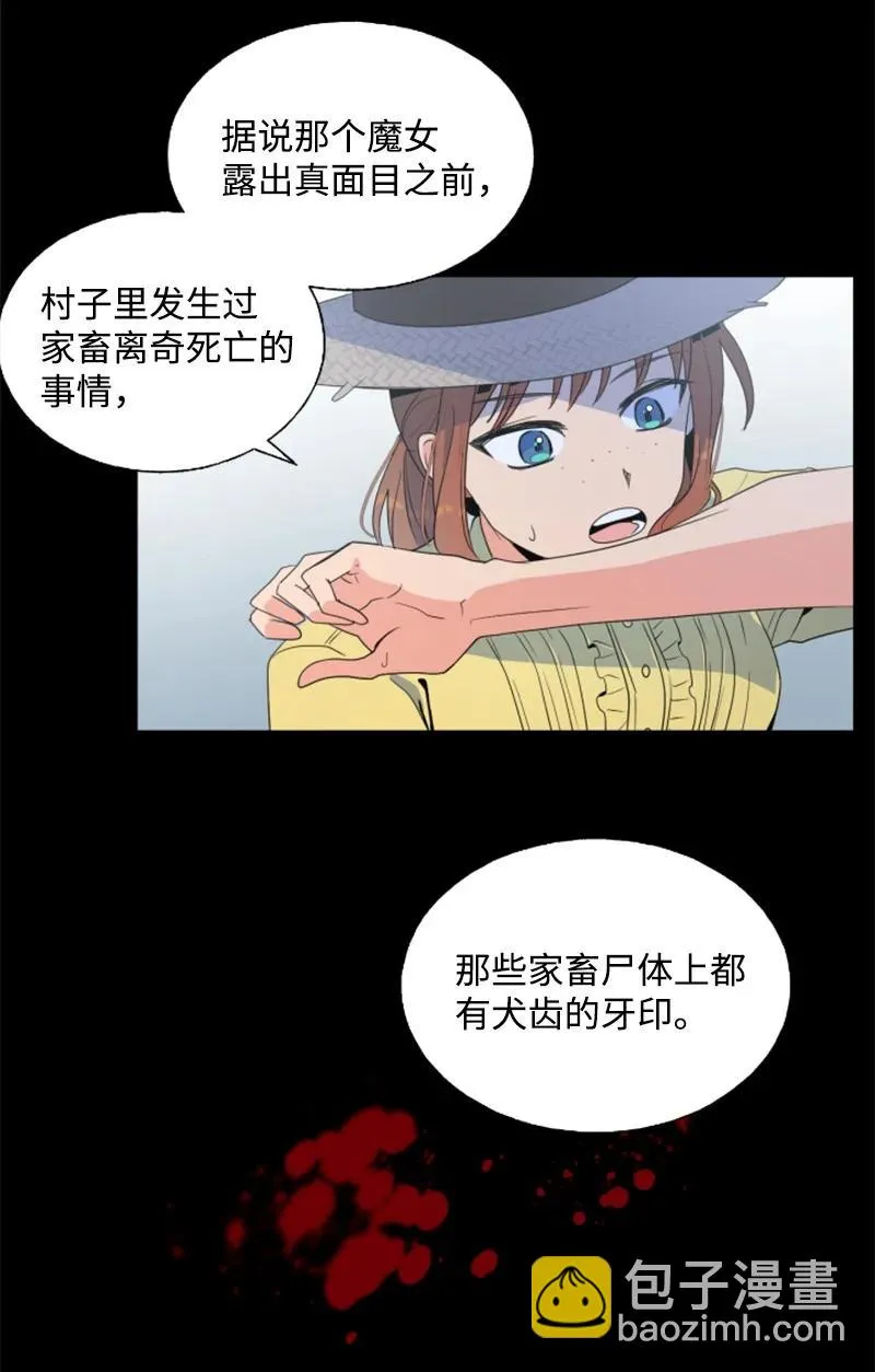 17 初见真容 第11页