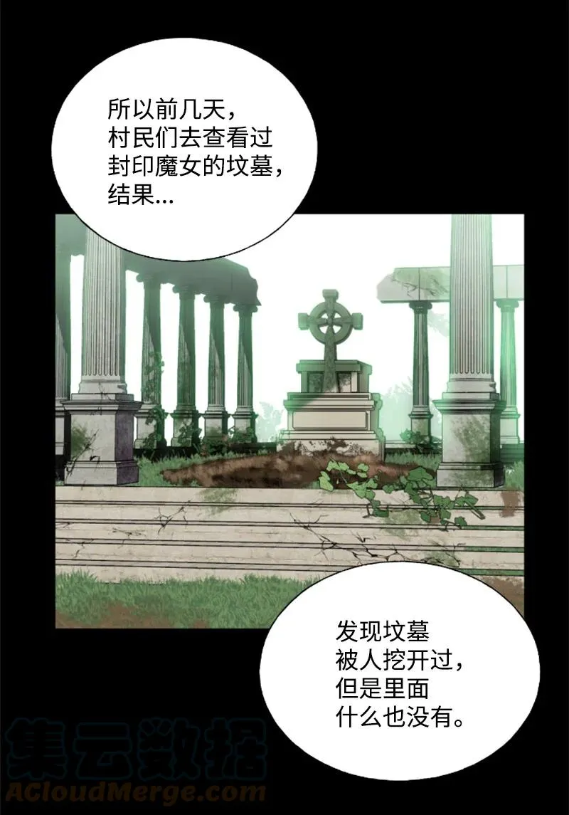 17 初见真容 第13页