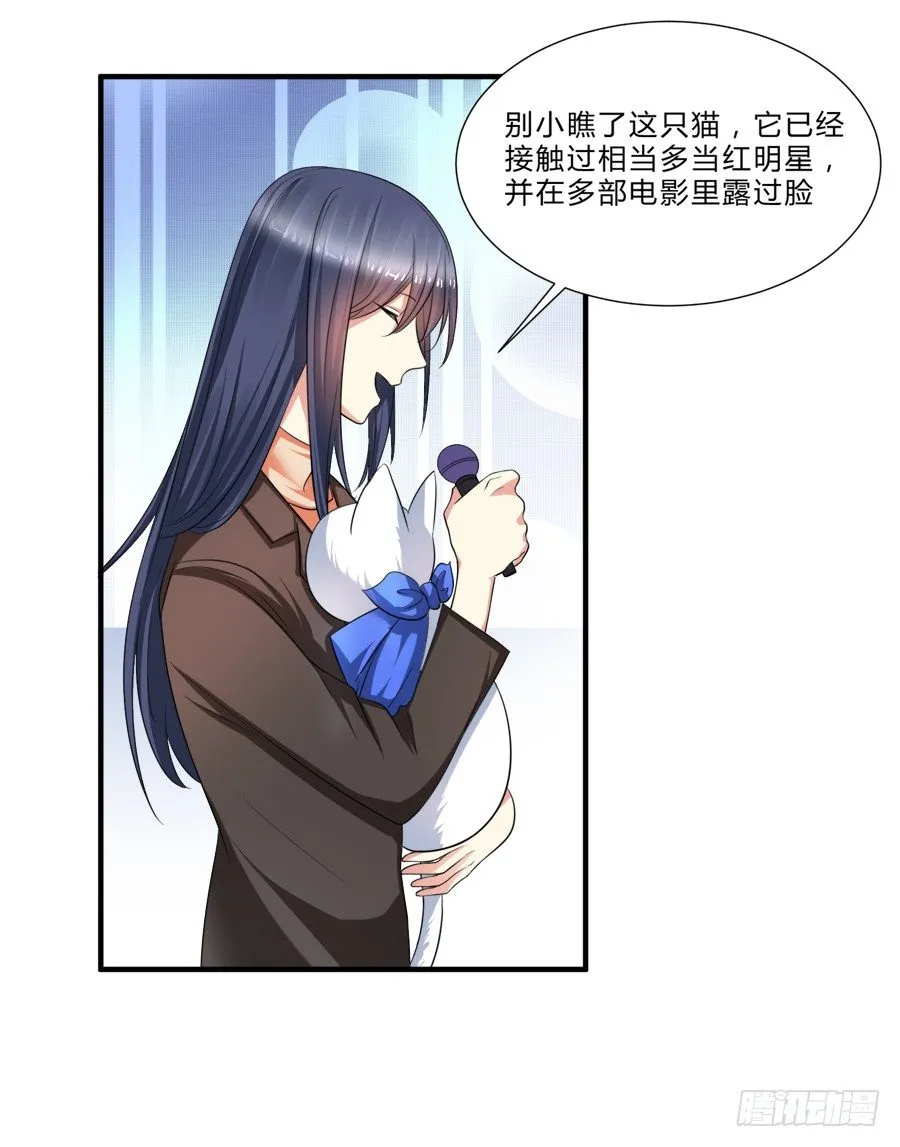 来自喵界的权威！ 第29页