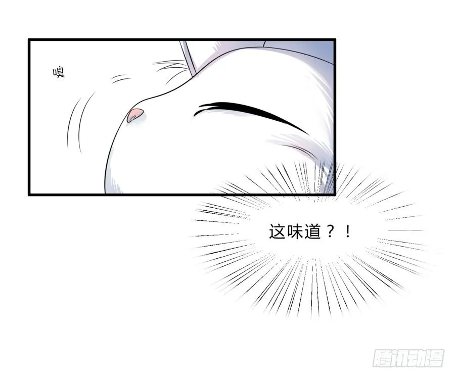 林宇哥哥救救我！ 第13页