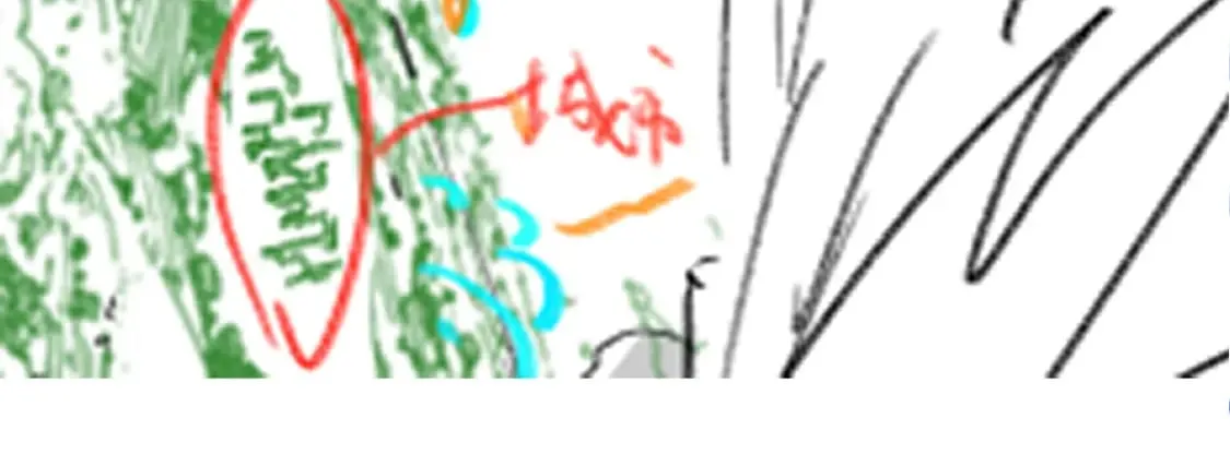 第217话 反击！ 第149页