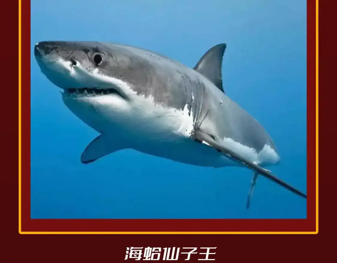 第23期 整活企划：圣墟中兽王，原型长这样？ 第5页