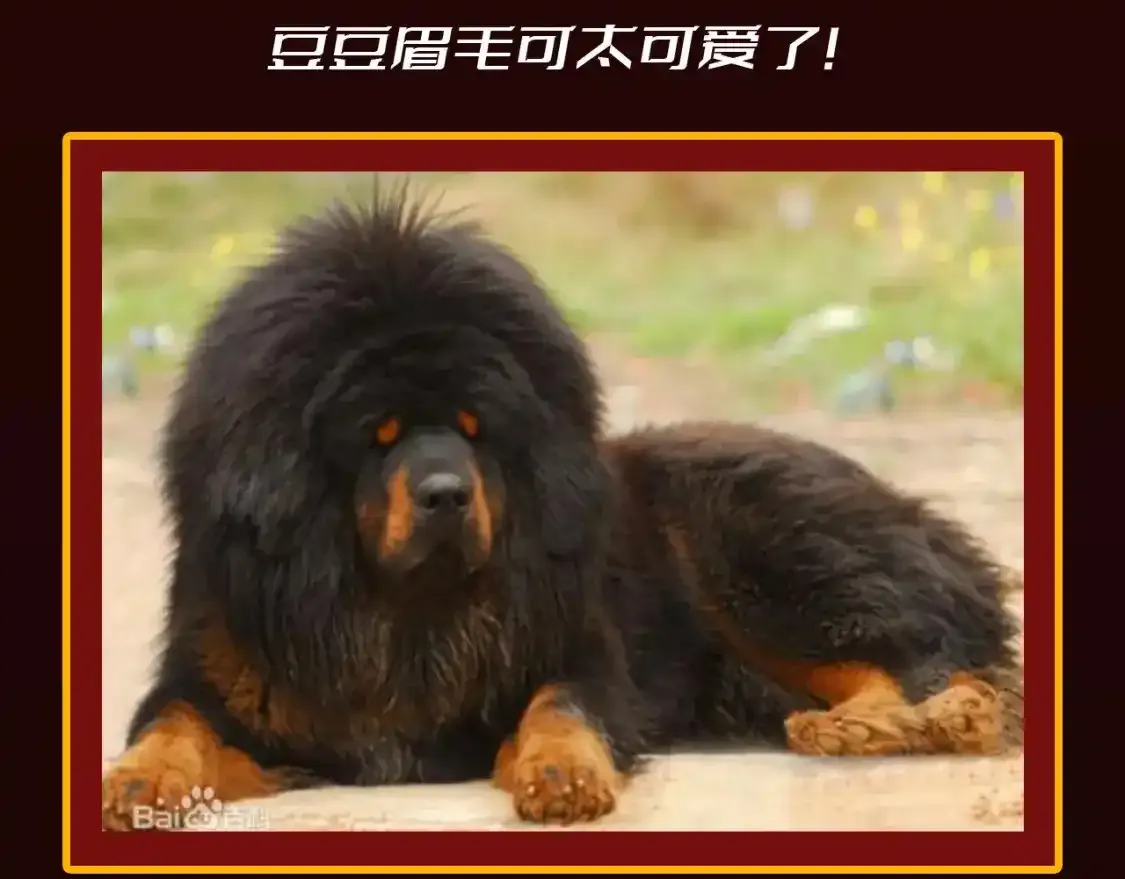 第23期 整活企划：圣墟中兽王，原型长这样？ 第10页
