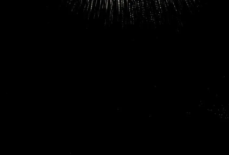 第3话 天神生物 第131页