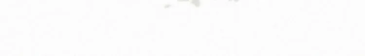 番外篇 黄牛的一天 第63页