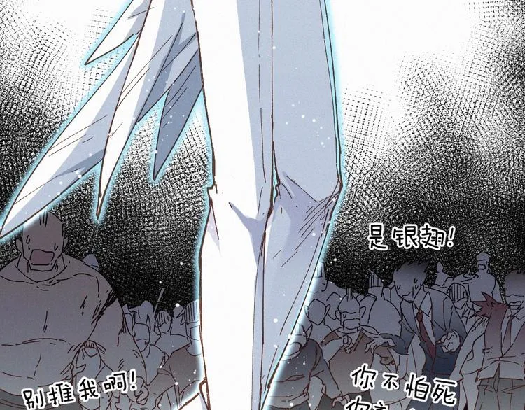 第33话 银翅天神出动！ 第102页