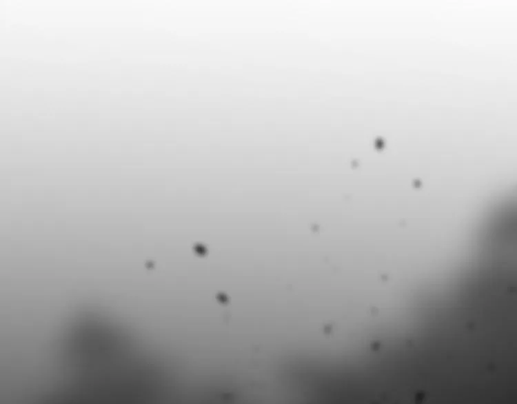 第107话 大乱 第173页
