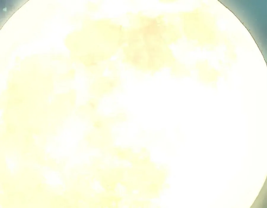 237 又破纪录了 第28页