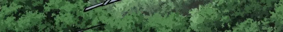 242 我，剑武双修 第166页