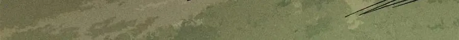 244 战略性撤退，简称跑路 第99页