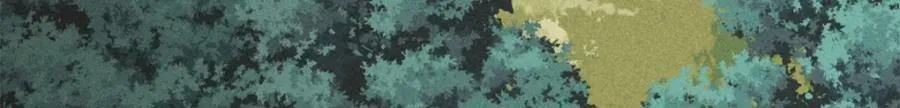 245 上界之人 第133页
