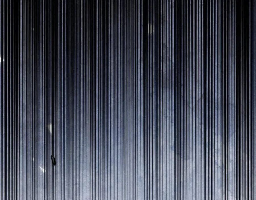 256 三姓家奴，呸 第54页