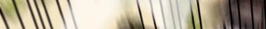 276 铁骨铮铮派集体摆烂 第174页