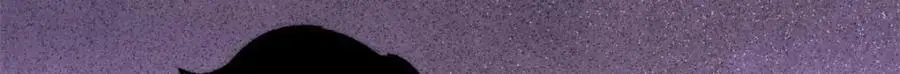 293 夜帝的女粉 第49页