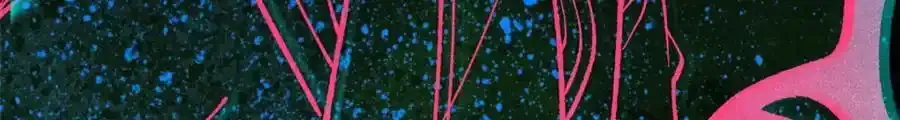 297 追回芊芊 第112页