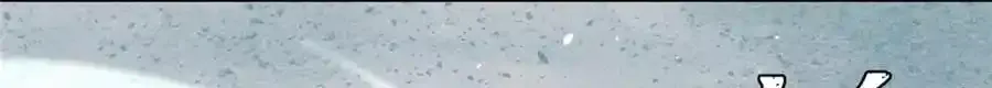297 追回芊芊 第160页