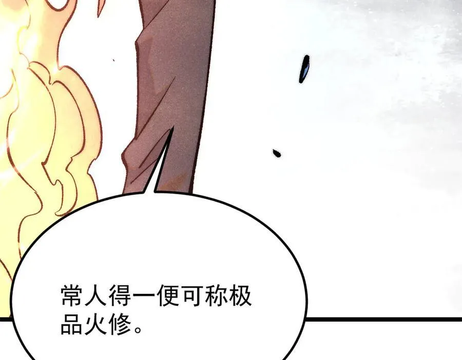 311 神火灼体 第14页