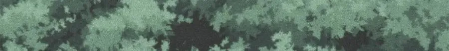 394 你已经是一台成熟的挖掘机了 第119页