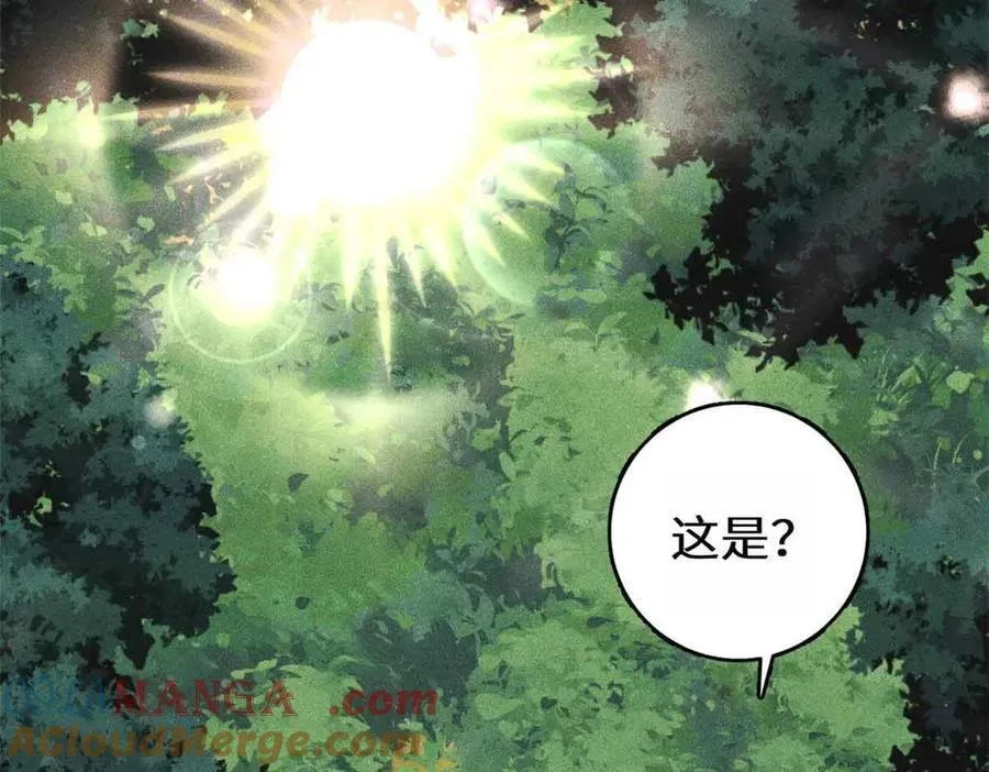 395 老夫要开始扮猪吃虎了！ 第65页