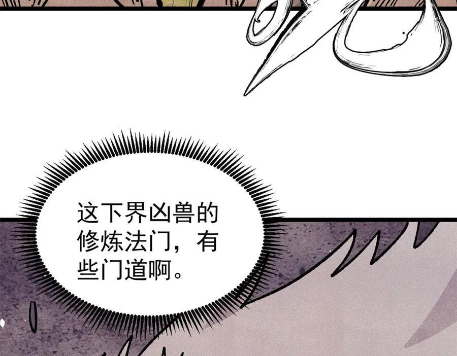 456 底牌过多 第104页