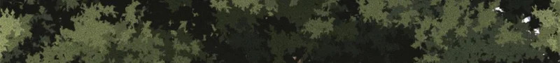 501 魔门的反扑 第27页